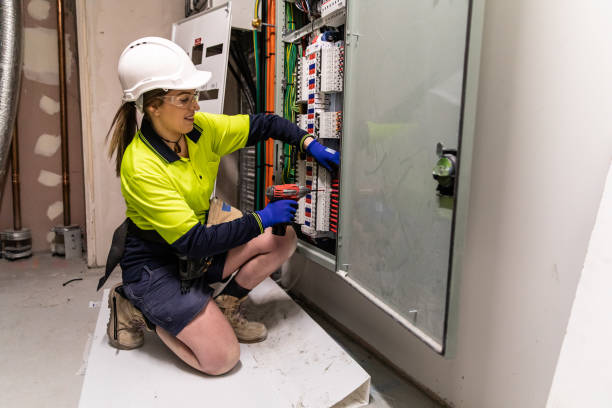 Best Electric Panel Repair  in Wellsburg, WV